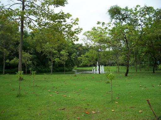 104_7425.jpg